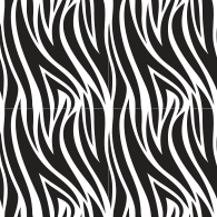 Zebra-1