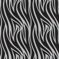 Zebra-2