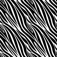 Zebra-5