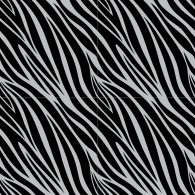 Zebra-6