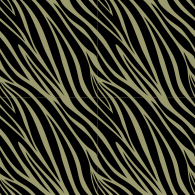 Zebra-8