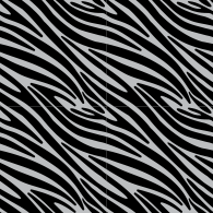 Zebra-10