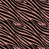 Zebra-15